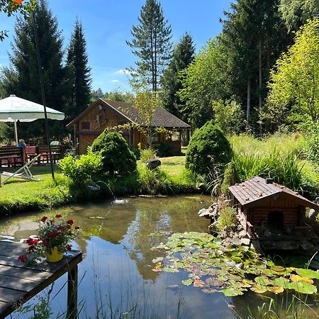 Villa Am Paulsberg Mit Sauna - V2 Braunlage Exterior photo